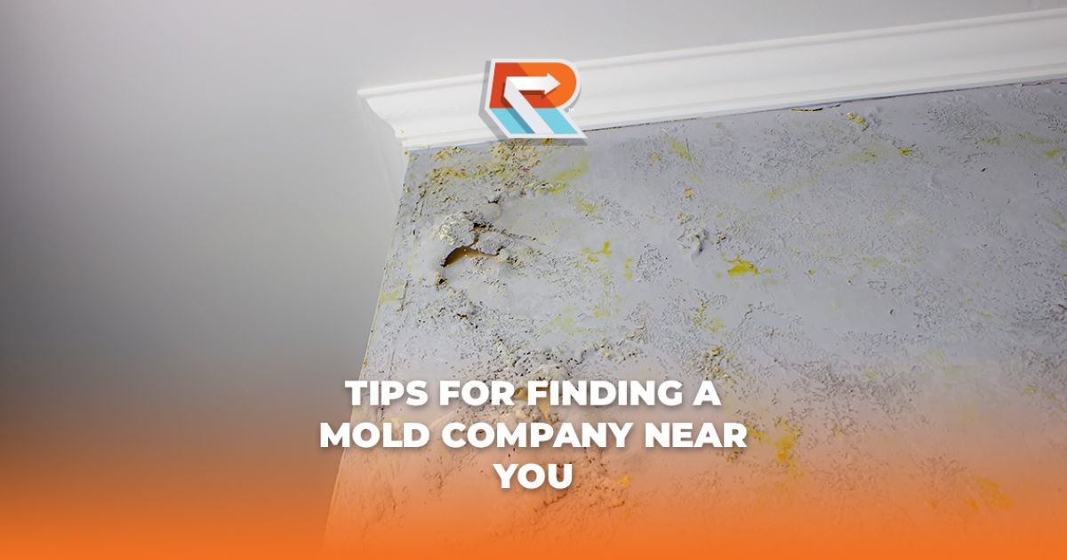 Tips for Finding a Mold Company Near You