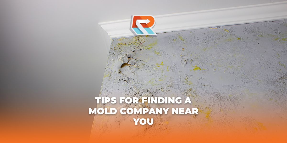 tips for finding mold company