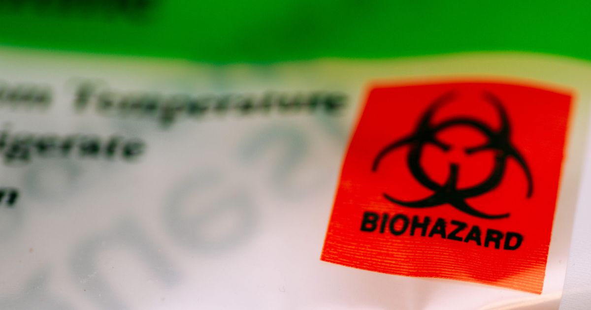 Bacteria, Viruses, Parasites, and Fungi: What Type of Hazard Are They Considered?