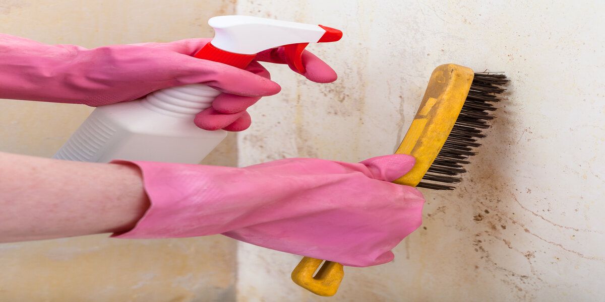 when is mold remediation required
