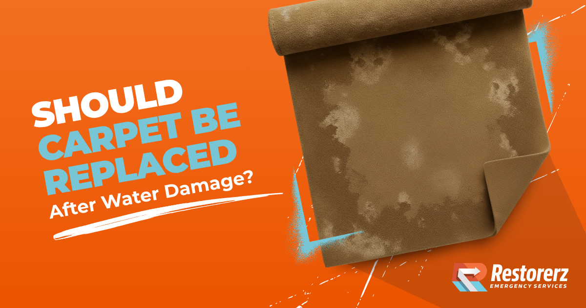 Should Carpet Be Replaced After Water Damage: Safety Tips
