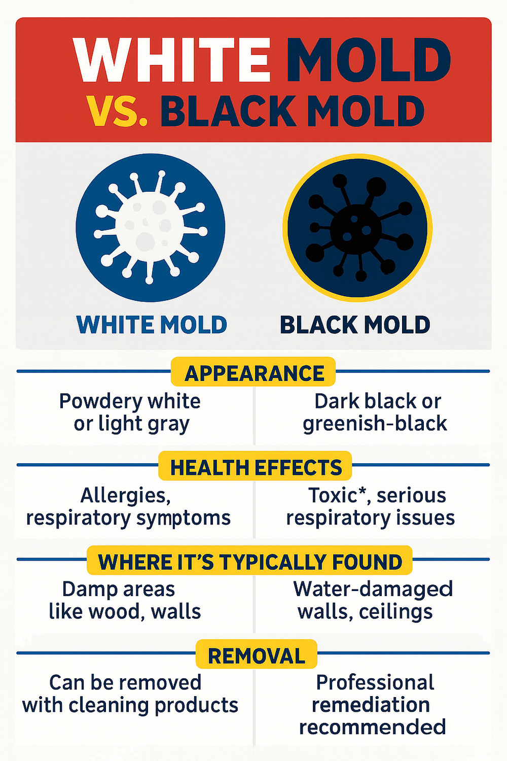 Black vs White Mold Infographic