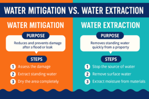 Comparison Water Mitigation and Water Extraction