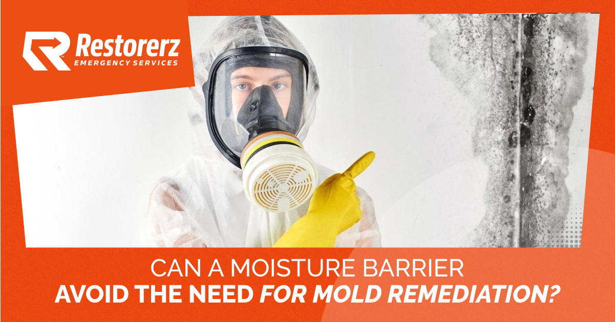 Can a Moisture Barrier Avoid Mold Remediation?