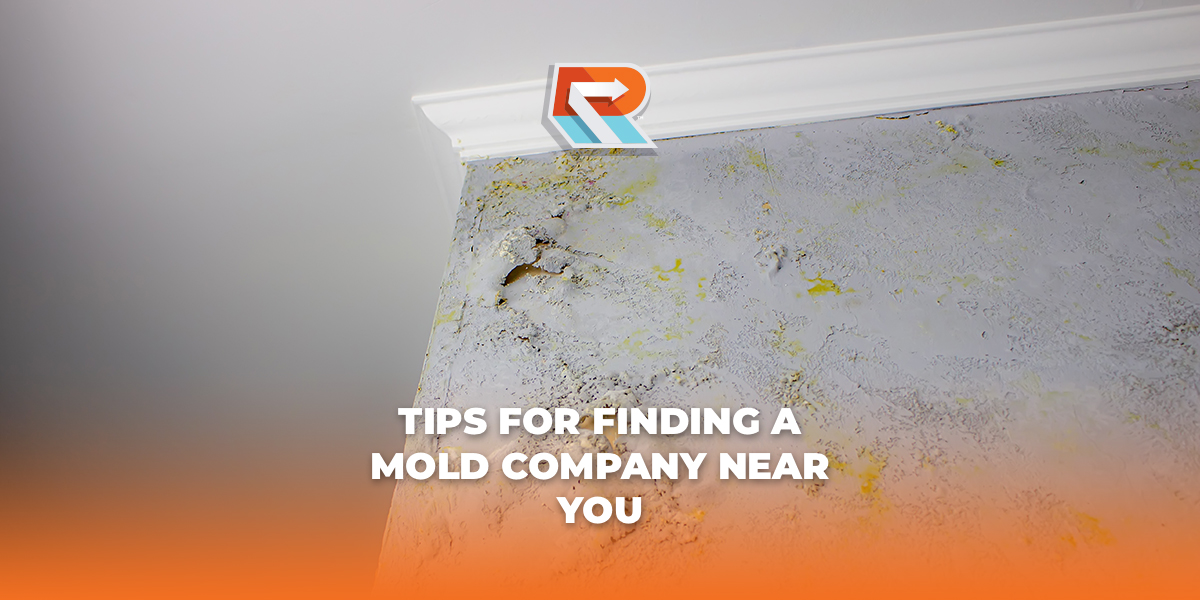 tips for finding mold company