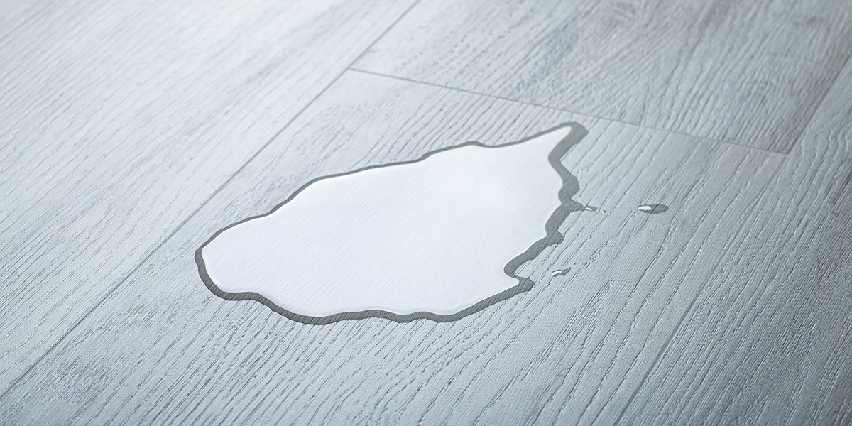 water damage on wood