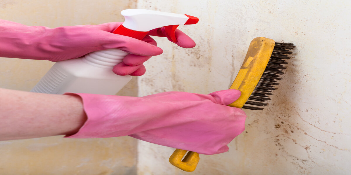 when is mold remediation required