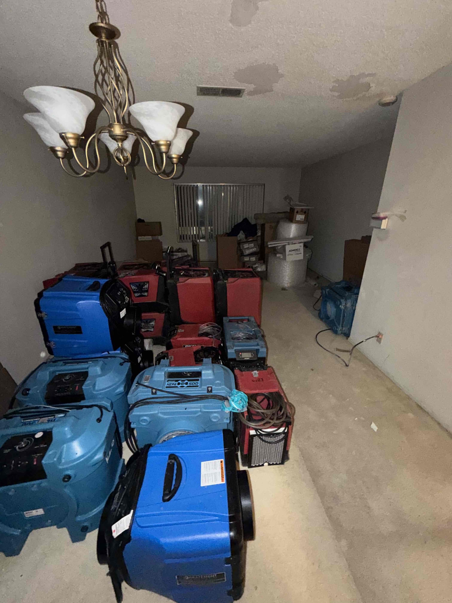 Christobal Romero, Javier Ramos, Top Pro - Labor