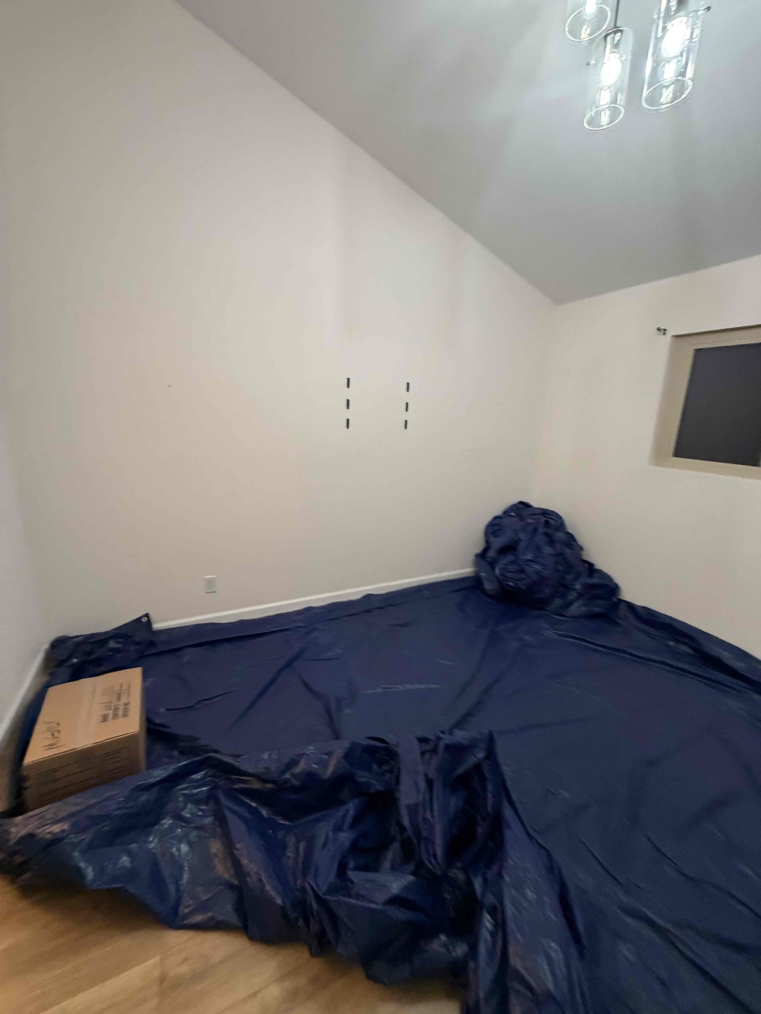 Eduardo Bobadilla, Top Pro - Labor