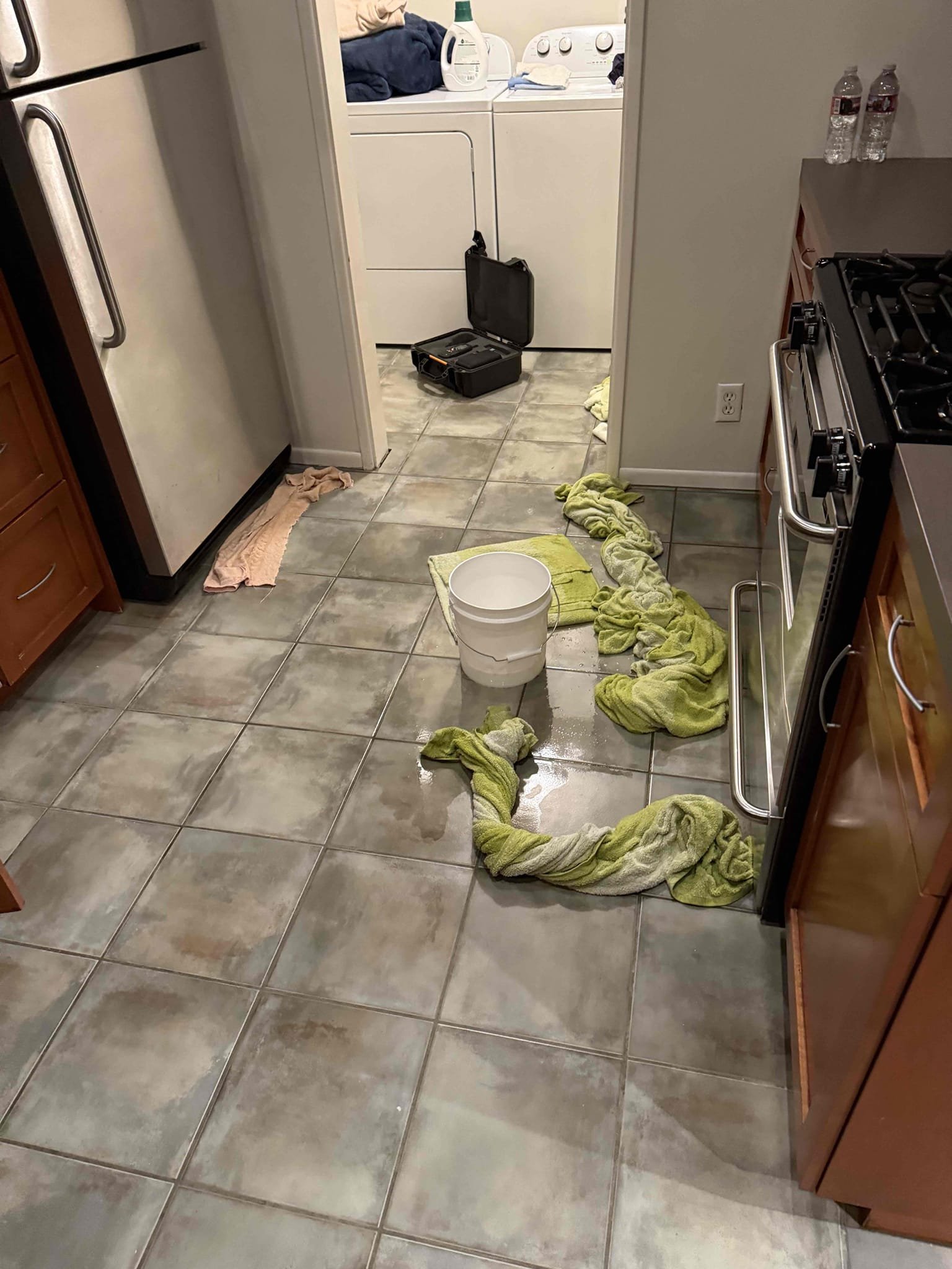 Eduardo Bobadilla, Javier Ramos