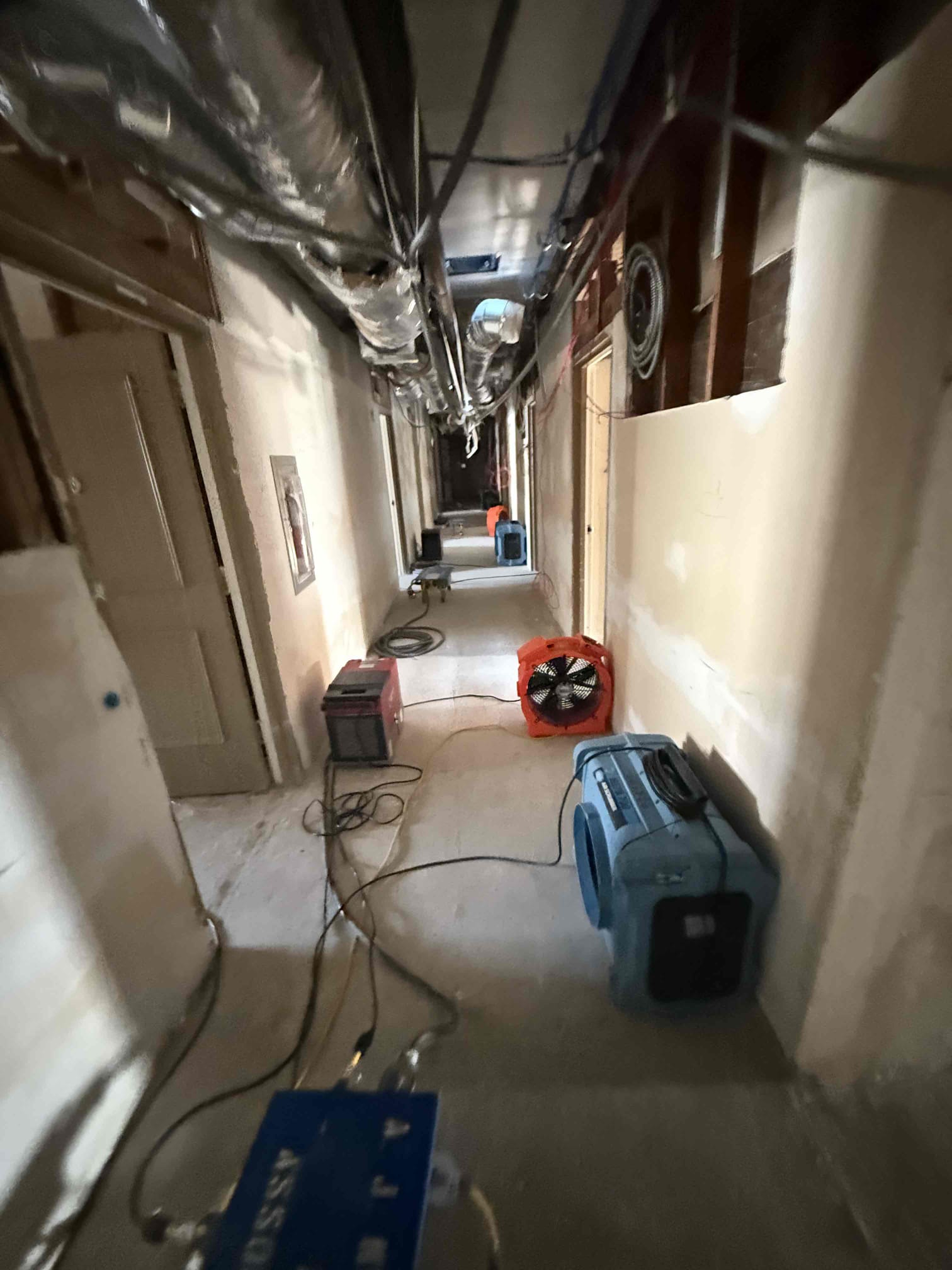 David Zamora, Eduardo Bobadilla