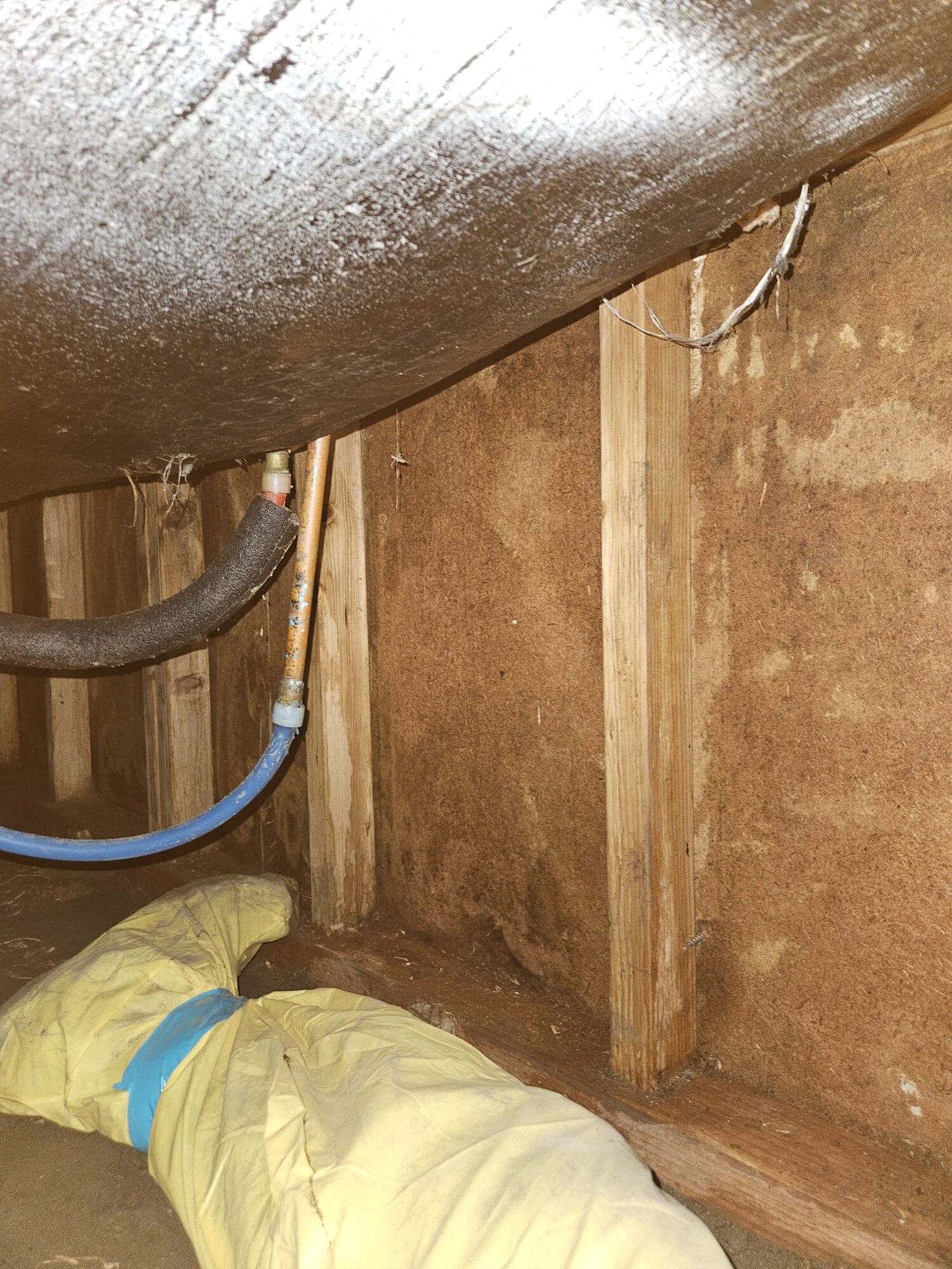 Alexis Lazo, Enrique Perez, Javier Saavedra, Luis Quirarte, Steven Alexander Pritchett, Tomas Candela