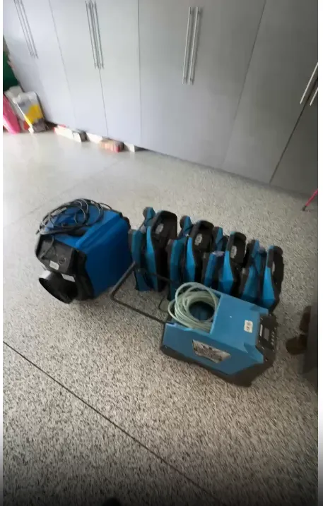 Gabriel Miranda, Hector Garcia