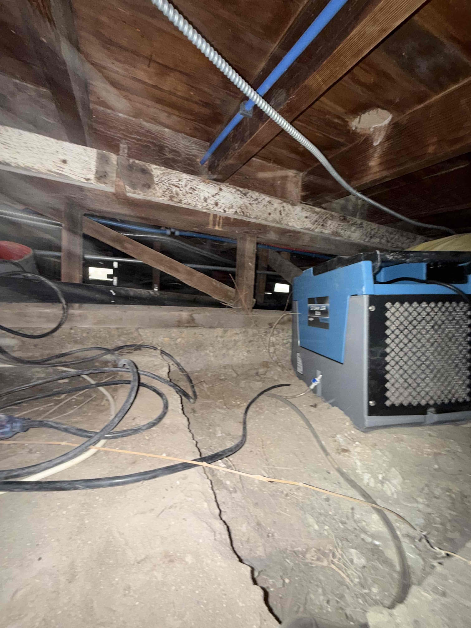 Christobal Romero, David Zamora, Eduardo Bobadilla, Javier Ramos