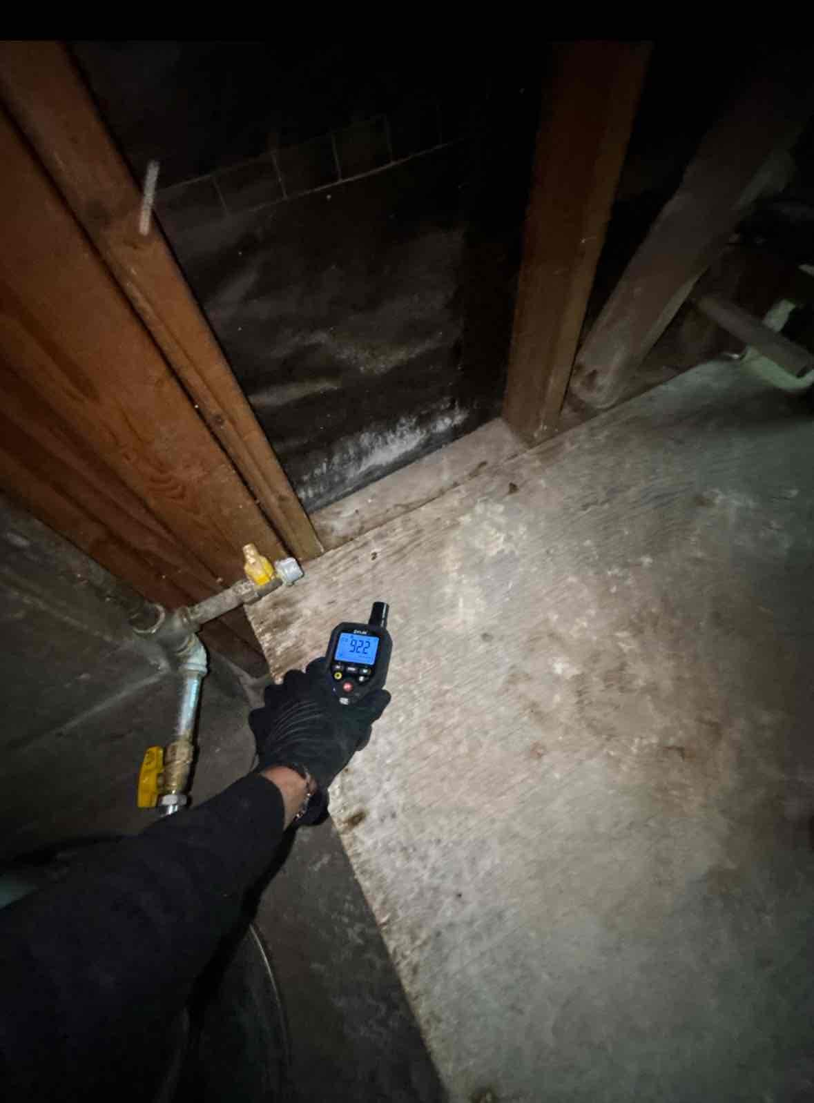 Cesar Hipolito, John Gonchegulyan, Top Pro - Labor