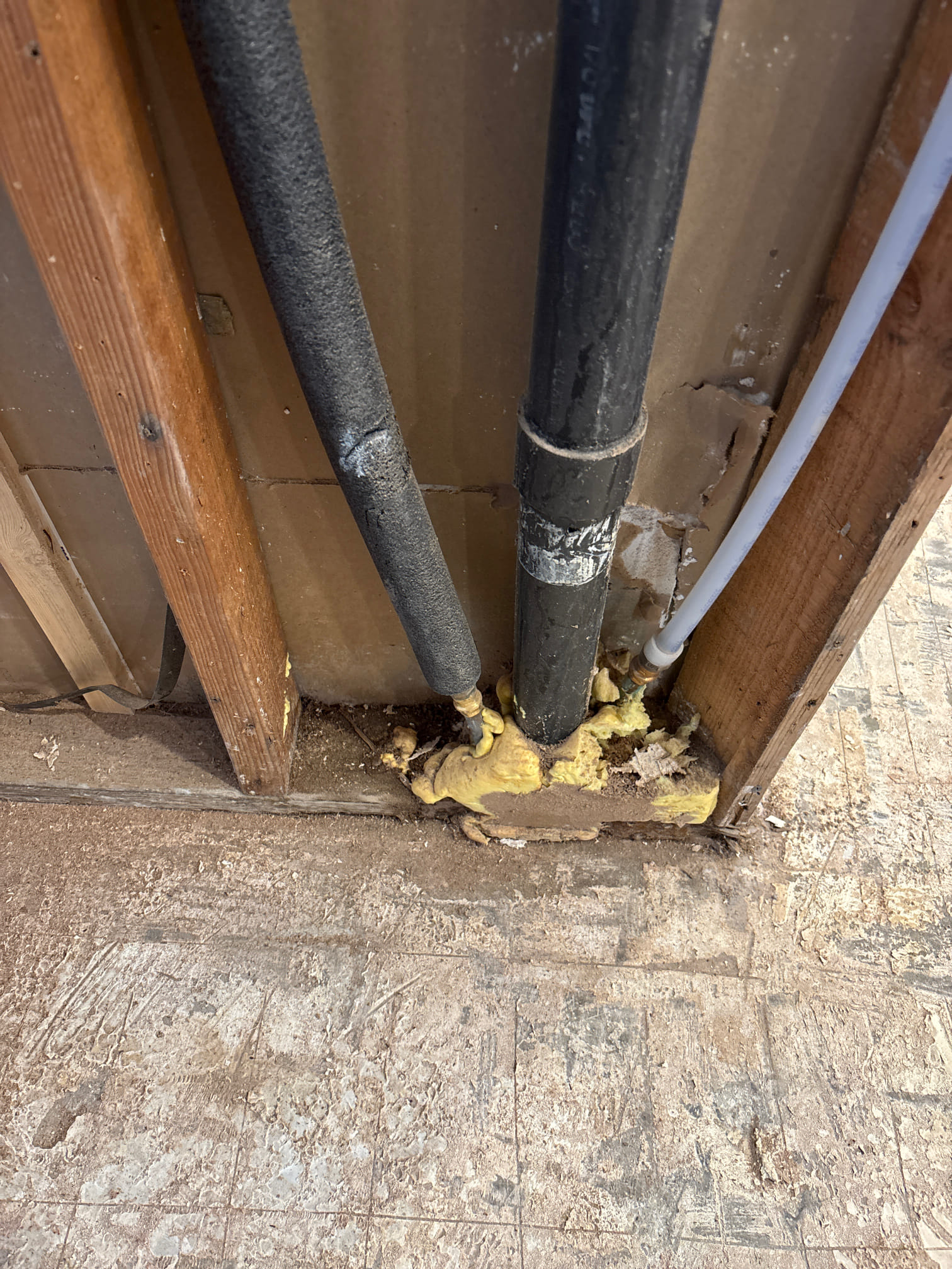 Eric Vasquez, Jorge Sorto