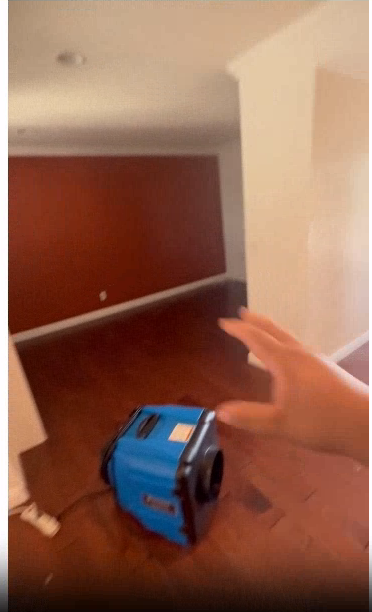 Christobal Romero, Eduardo Bobadilla, Top Pro - Labor