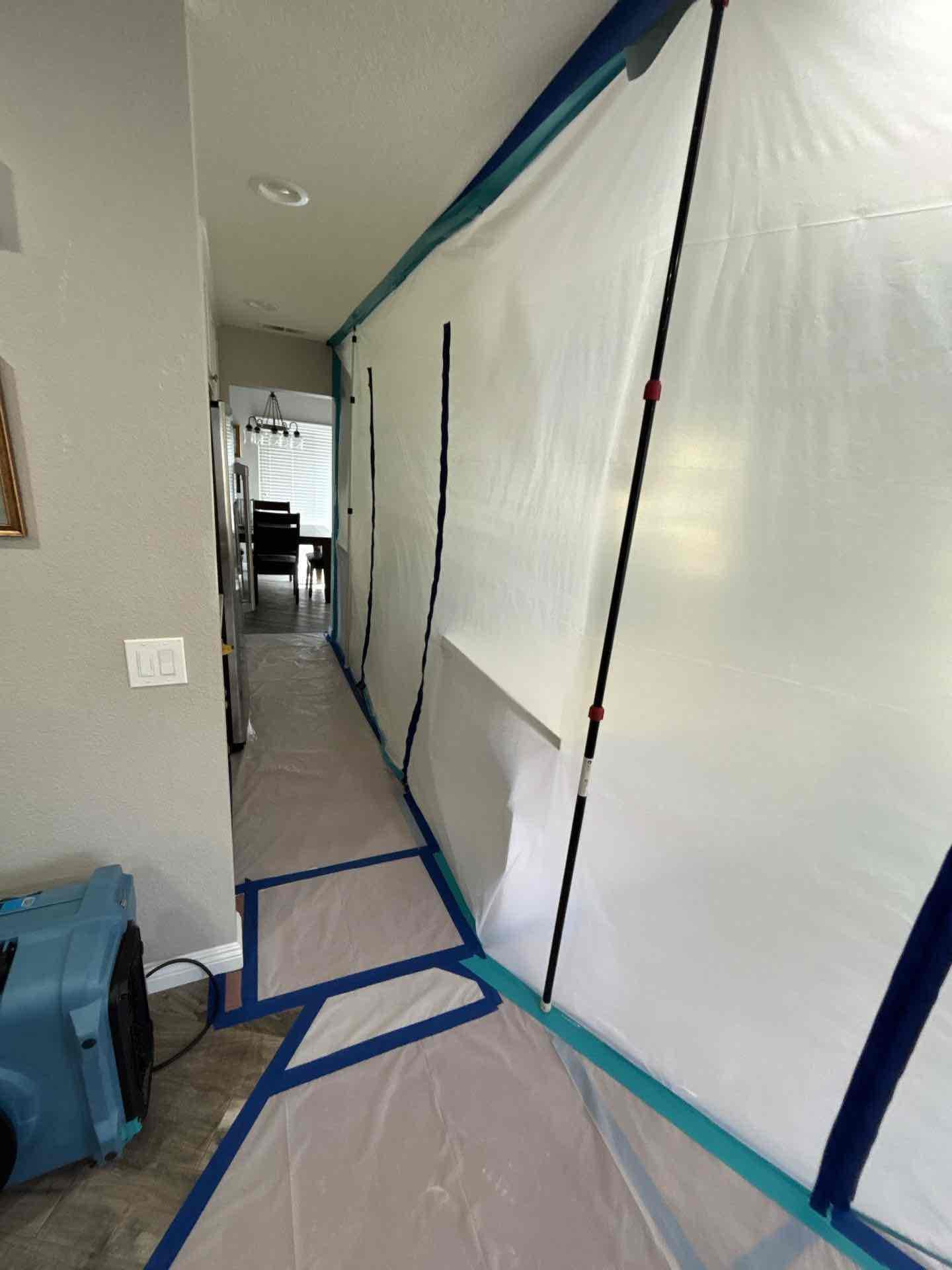 Daniel Salido, David Zamora