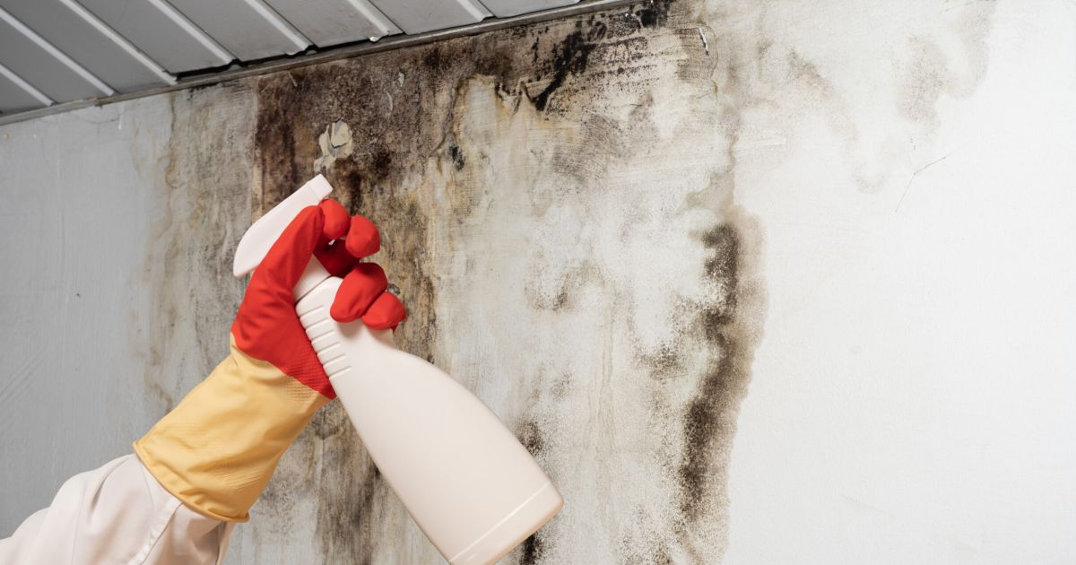 How to Mitigate Water Damage from Roof Leak