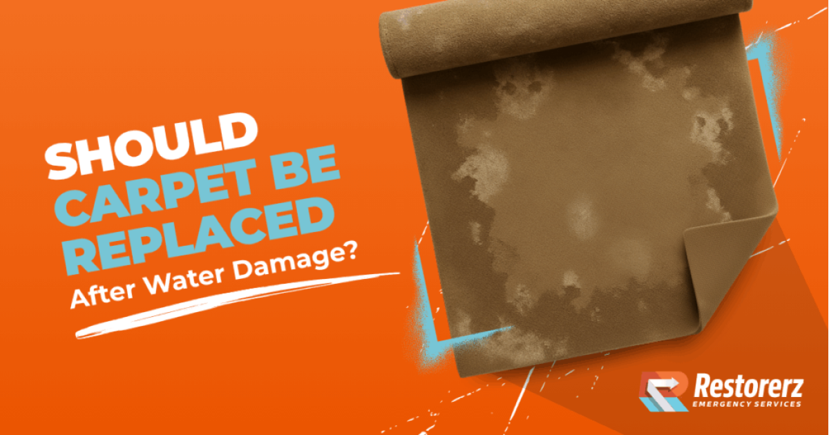 Should Carpet Be Replaced After Water Damage: Safety Tips