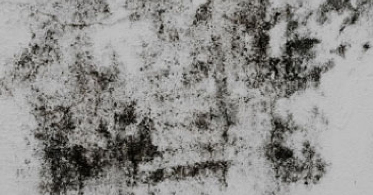 11 SIGNS THAT YOU HAVE MOLD IN THE DUCTS OF YOUR LOS ANGELES HOME