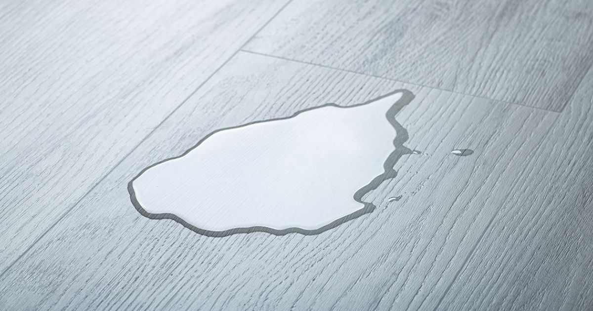 5 Signs of Water Damage on Wood Floors