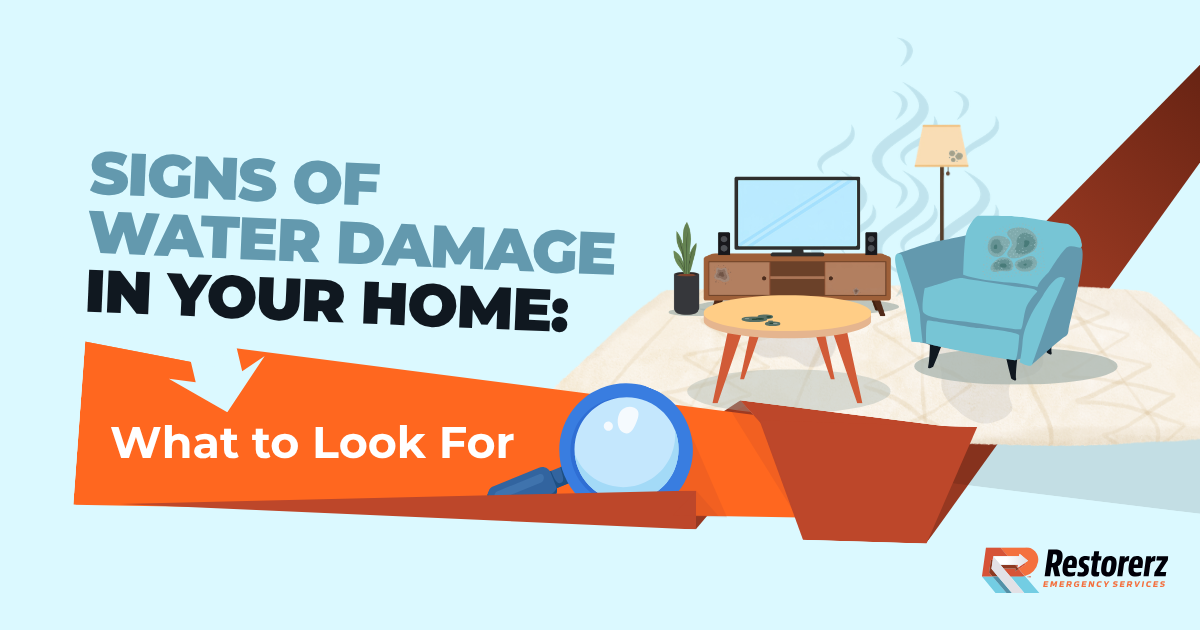 Signs of Water Damage in Your Home: What to Look For