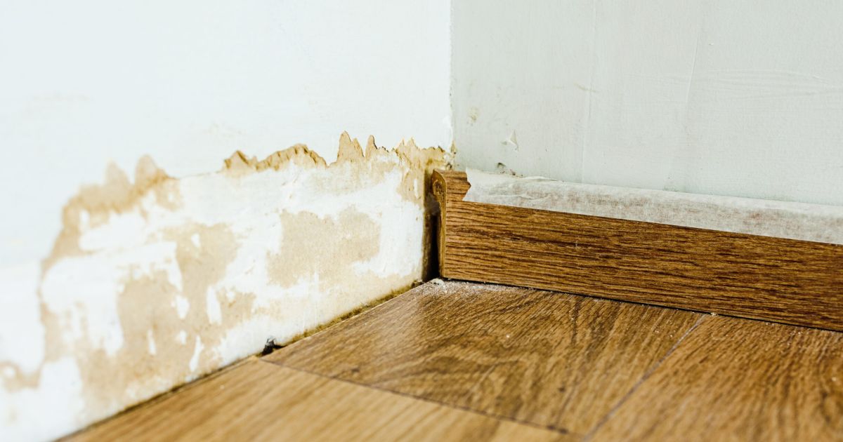Spot the Signs of Water Damage When Moving to A New Home