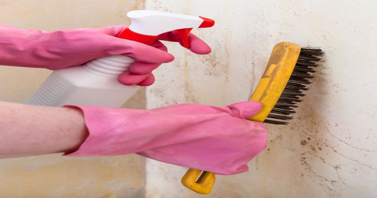 When Is Mold Remediation Required?