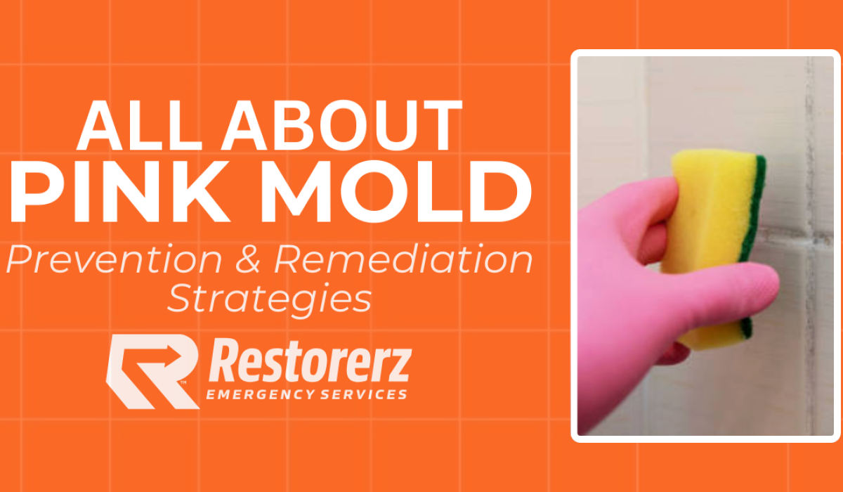 All About Pink Mold [Prevention & Remediation Strategies]