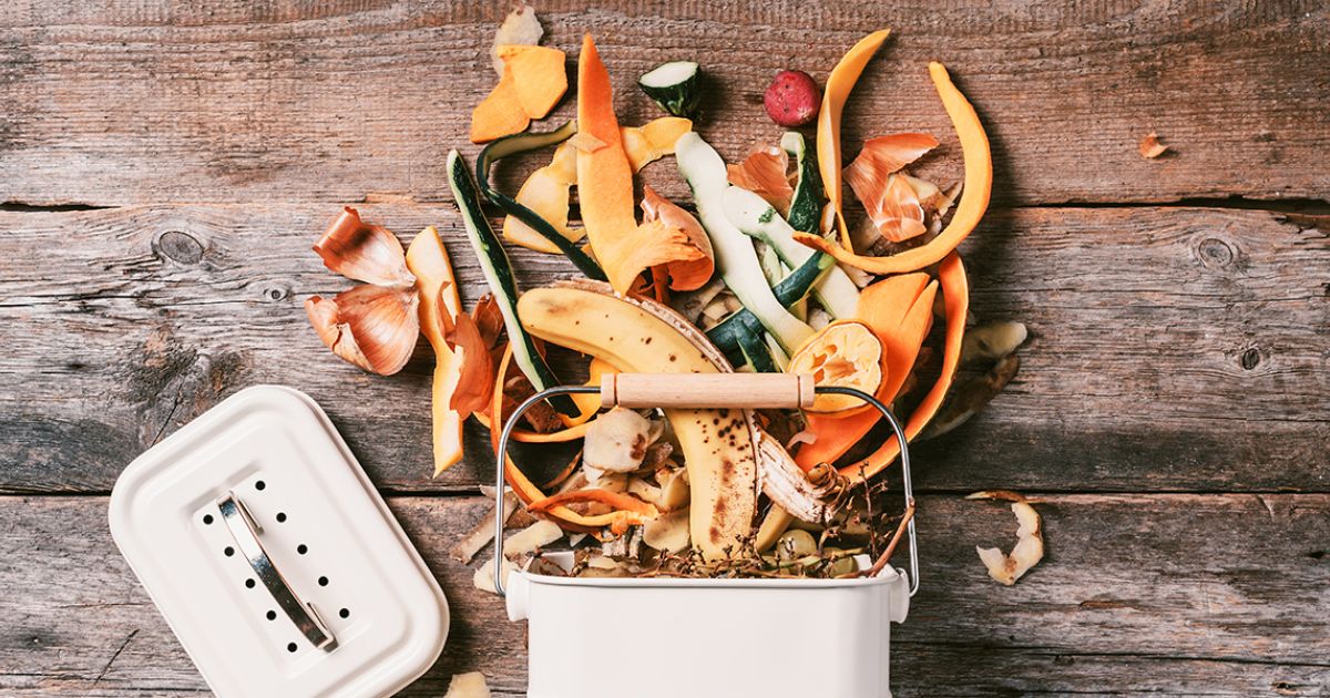 What Is Biowaste, and What Can You Do About It?